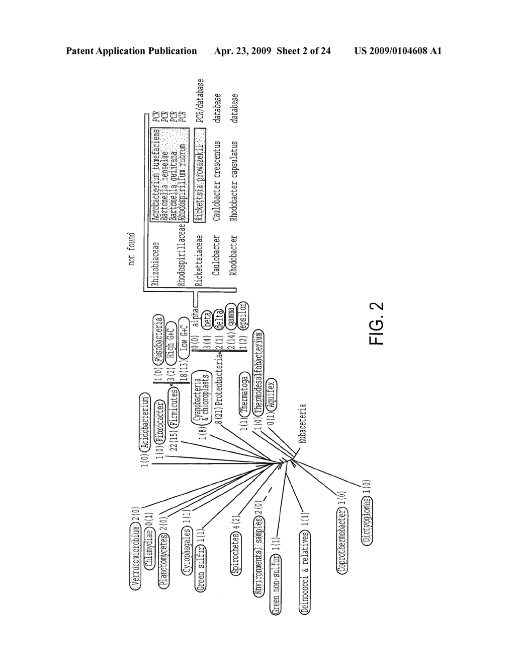 EUBACTERIAL tmRNA SEQUENCES AND USES THEREOF - diagram, schematic, and image 03