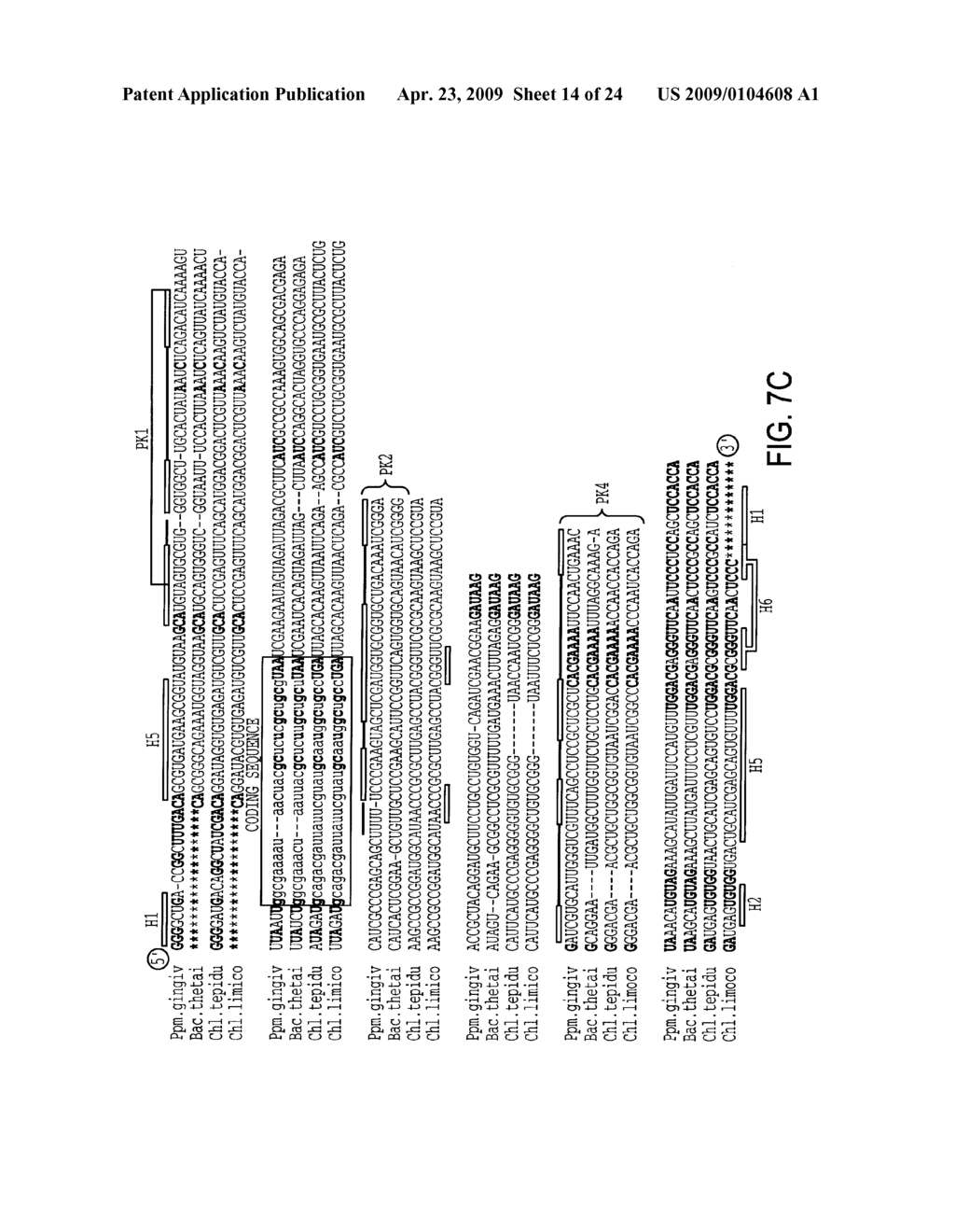 EUBACTERIAL tmRNA SEQUENCES AND USES THEREOF - diagram, schematic, and image 15