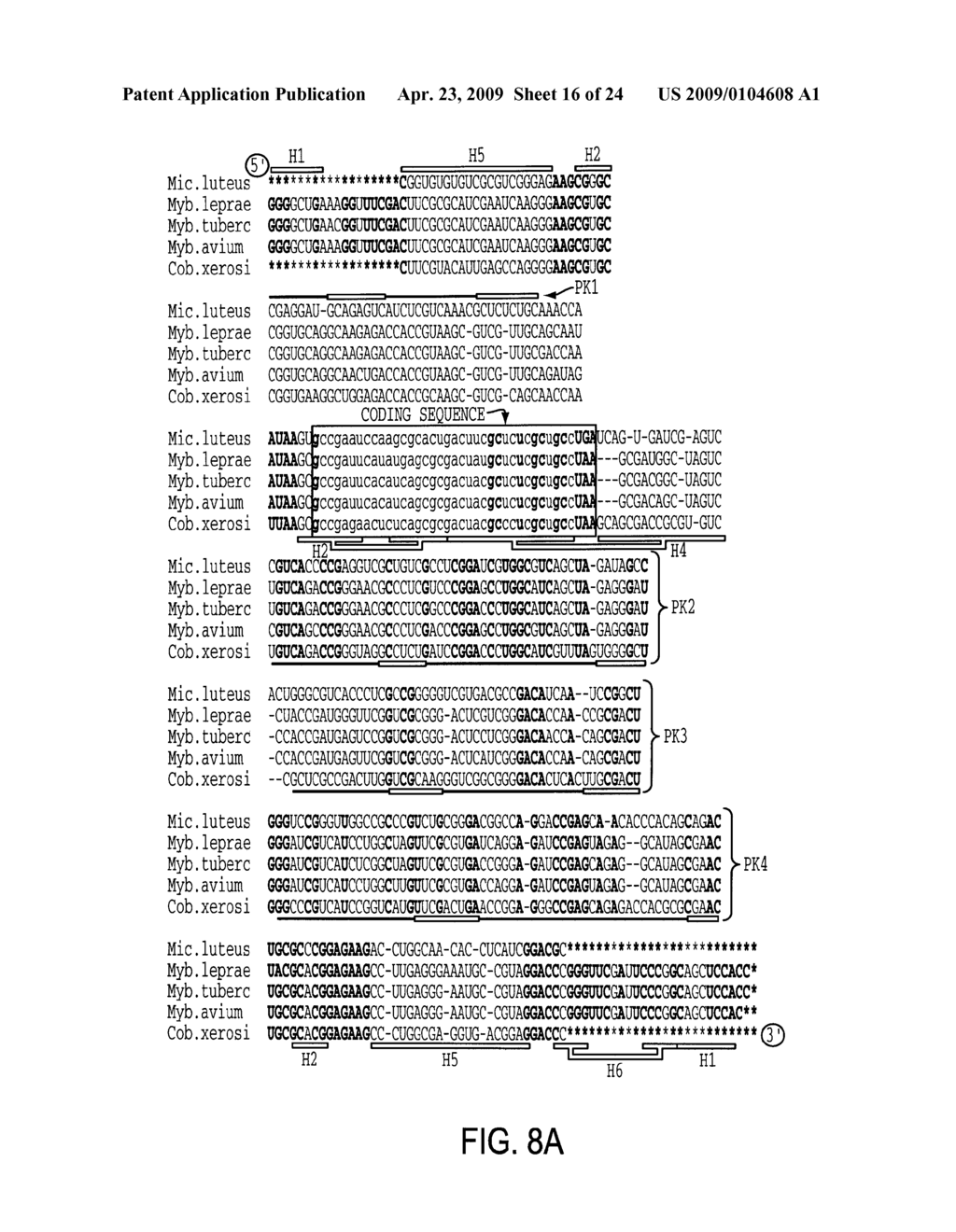 EUBACTERIAL tmRNA SEQUENCES AND USES THEREOF - diagram, schematic, and image 17