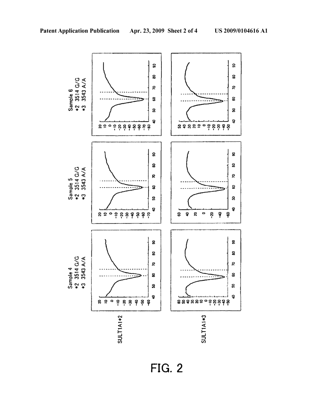 PRIMER SET FOR AMPLIFYING SULT1A1 GENE, REAGENT FOR AMPLIFYING SULT1A1 GENE CONTAINING THE SAME, AND THE USES THEREOF - diagram, schematic, and image 03