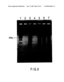 METHOD FOR DETECTING A TARGET NUCLEIC ACID SEQUENCE diagram and image