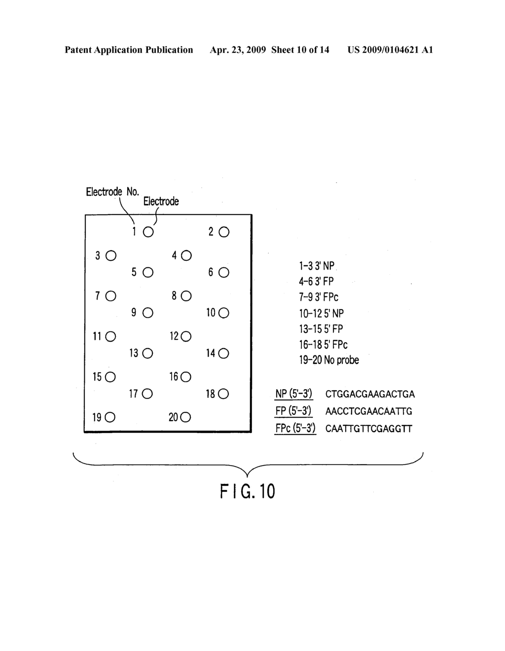 METHOD FOR DETECTING A TARGET NUCLEIC ACID SEQUENCE - diagram, schematic, and image 11