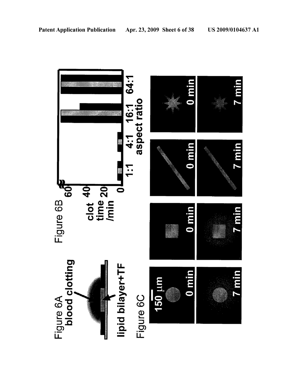 Method and Apparatus for Assaying Blood Clotting - diagram, schematic, and image 07