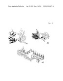 Crystallographic Structure of MNK-1 and MNK-2 Proteins diagram and image