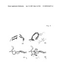 Crystallographic Structure of MNK-1 and MNK-2 Proteins diagram and image