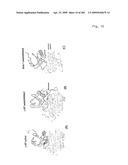 Crystallographic Structure of MNK-1 and MNK-2 Proteins diagram and image