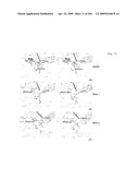 Crystallographic Structure of MNK-1 and MNK-2 Proteins diagram and image