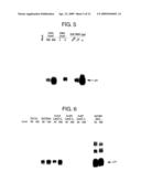 NOVEL RECOMBINANT ADENOVIRUS VECTOR HAVING A REDUCED SIDE EFFECT diagram and image