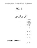 NOVEL RECOMBINANT ADENOVIRUS VECTOR HAVING A REDUCED SIDE EFFECT diagram and image