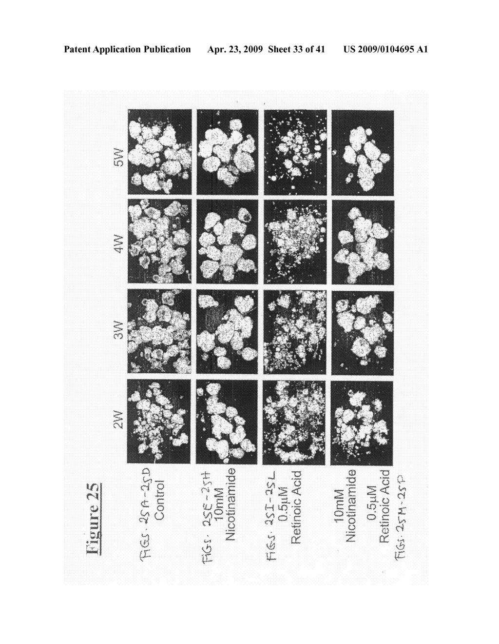 Stem Cells Culture Systems - diagram, schematic, and image 34