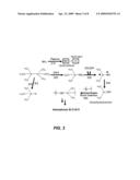 HIGH QUALITY SILICON OXIDE FILMS BY REMOTE PLASMA CVD FROM DISILANE PRECURSORS diagram and image