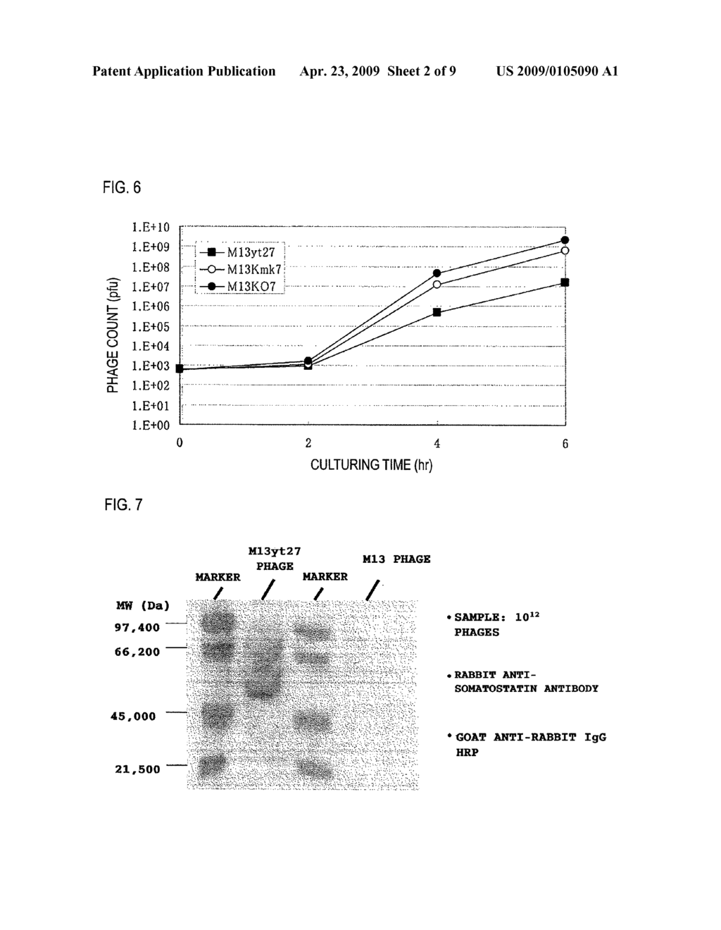 Phage Display By Novel Filamentous Bacteriophage - diagram, schematic, and image 03