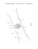 Device for Studying Individual Cells diagram and image