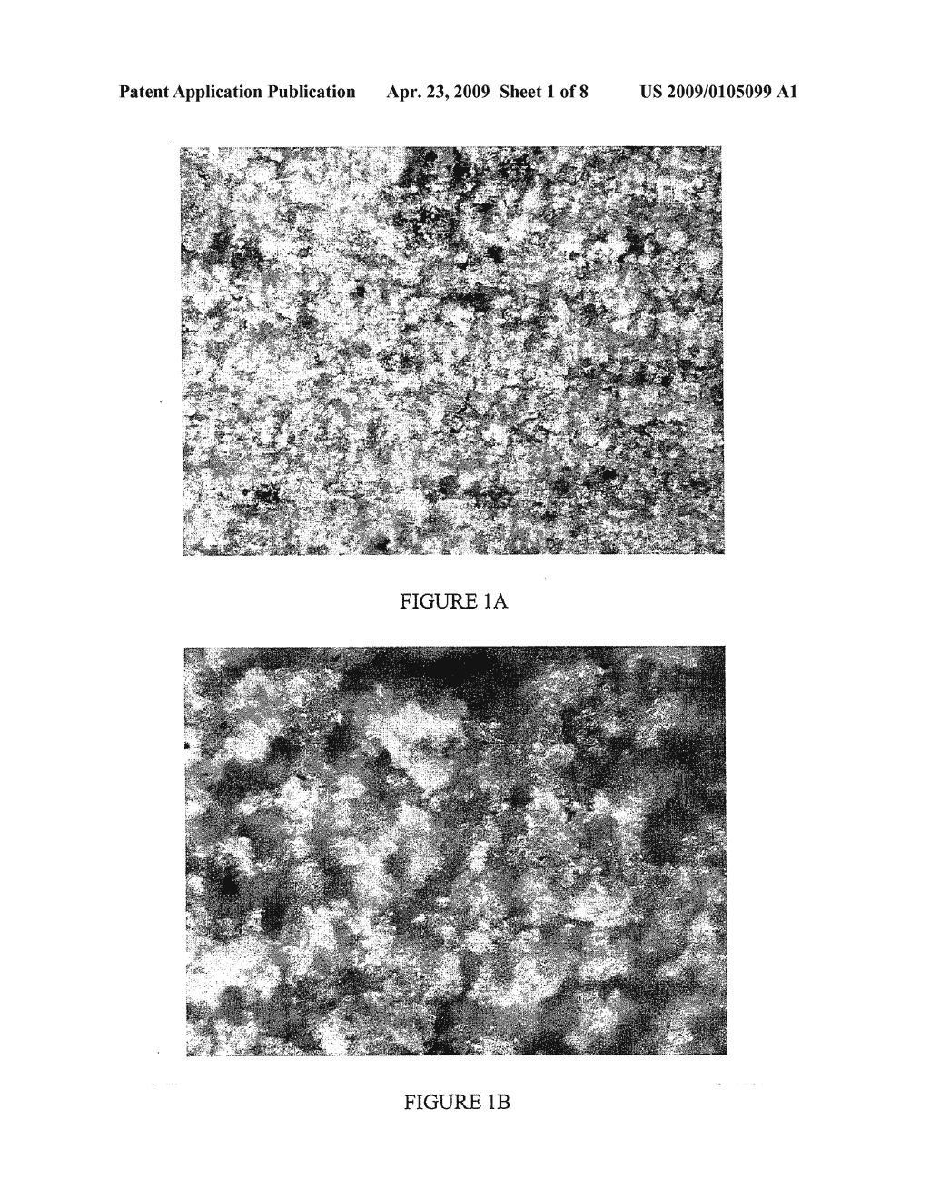 PUMICE CONTAINING COMPOSITIONS FOR CEMENTING A WELL - diagram, schematic, and image 02