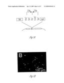 ALLELE-SPECIFIC SILENCING OF DISEASE GENES diagram and image