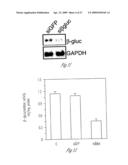 ALLELE-SPECIFIC SILENCING OF DISEASE GENES diagram and image