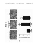 Methods for Regenerating and Repairing Damaged Tissues Using Adrenomedullin diagram and image