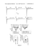 Modulation of sodium channels by nicotinamide adenine dinucleotide diagram and image