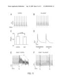 Modulation of sodium channels by nicotinamide adenine dinucleotide diagram and image