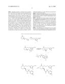 EP4 Receptor Agonist, Compositions and Methods Thereof diagram and image