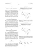 EP4 Receptor Agonist, Compositions and Methods Thereof diagram and image