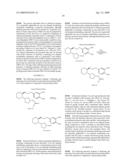 PRODRUGS OF ION CHANNEL MODULATING COMPOUNDS AND USES THEREOF diagram and image
