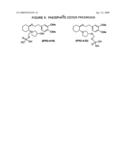 PRODRUGS OF ION CHANNEL MODULATING COMPOUNDS AND USES THEREOF diagram and image