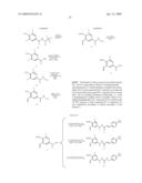 NOVEL COMPOUNDS, ISOMER THEREOF, OR PHARMACEUTICALLY ACCEPTABLE SALTS THEREOF AS VANILLOID RECEPTOR ANTAGONIST; AND PHARMACEUTICAL COMPOSITIONS CONTAINING THE SAME diagram and image