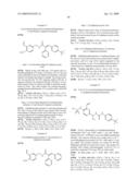 NOVEL COMPOUNDS, ISOMER THEREOF, OR PHARMACEUTICALLY ACCEPTABLE SALTS THEREOF AS VANILLOID RECEPTOR ANTAGONIST; AND PHARMACEUTICAL COMPOSITIONS CONTAINING THE SAME diagram and image