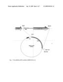 PROCESS FOR THE PRODUCTION OF TRANS-10, CIS 12 OCTADECADIENOIC ACID diagram and image