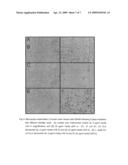 PROCESS FOR THE PRODUCTION OF TRANS-10, CIS 12 OCTADECADIENOIC ACID diagram and image