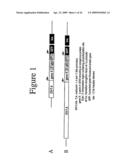 Glycosylated erythropoietin diagram and image