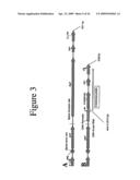 Glycosylated erythropoietin diagram and image