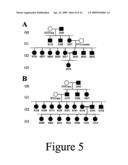 Glycosylated erythropoietin diagram and image