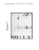 Glycosylated erythropoietin diagram and image