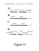 Glycosylated erythropoietin diagram and image