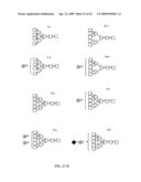 Glycosylated erythropoietin diagram and image