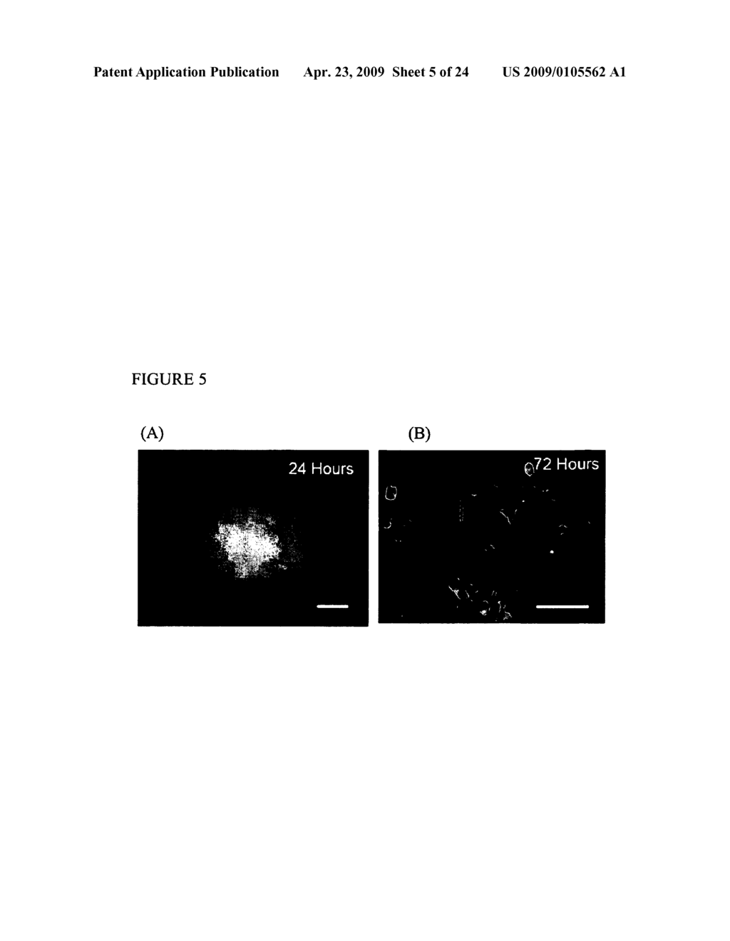 SYSTEM AND METHODS FOR SCREENING OR ANALYZING TARGETS - diagram, schematic, and image 06