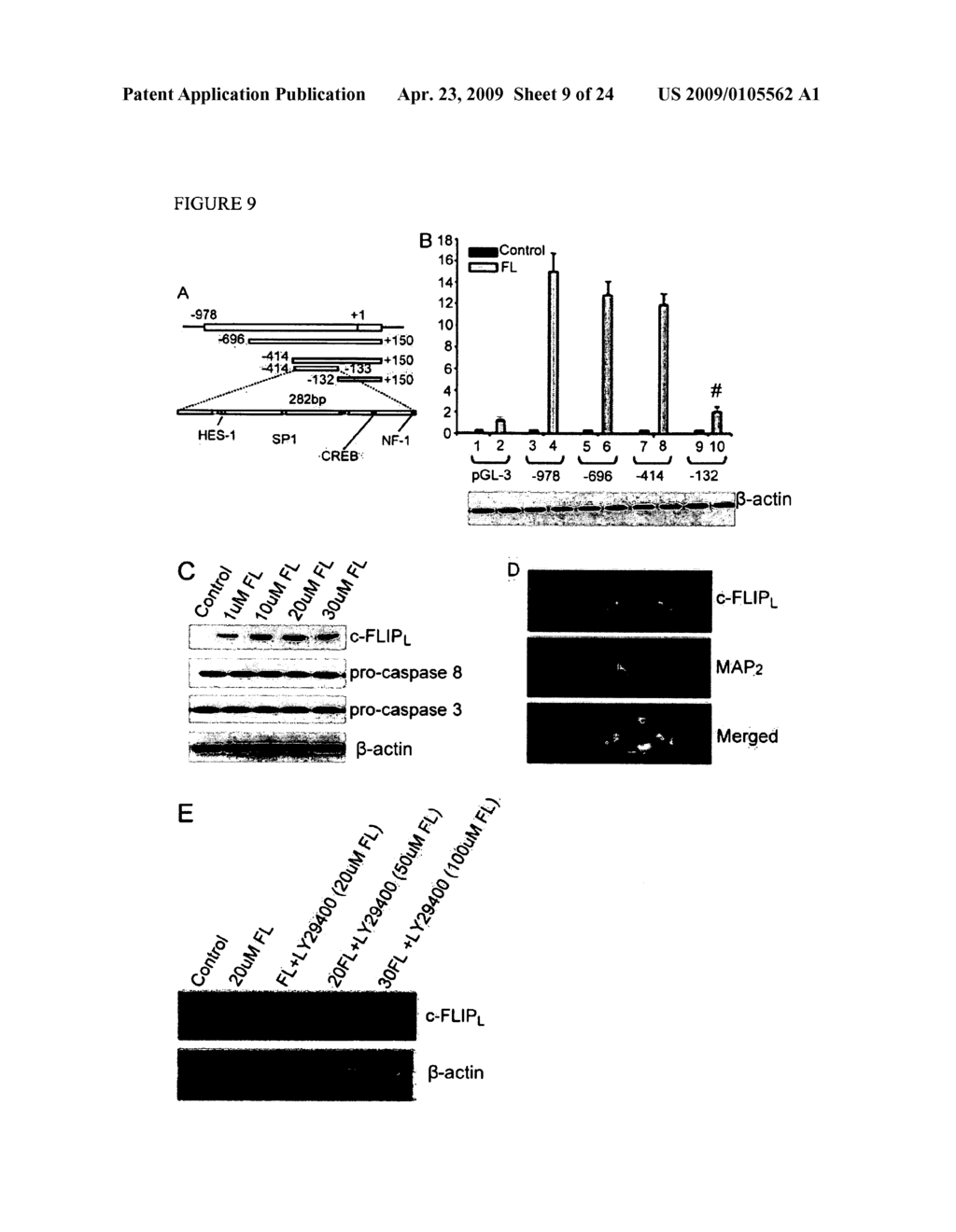 SYSTEM AND METHODS FOR SCREENING OR ANALYZING TARGETS - diagram, schematic, and image 10