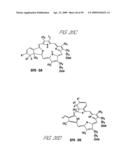 ULTRASOUND ASSEMBLY FOR USE WITH LIGHT ACTIVATED DRUGS diagram and image