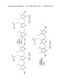 ULTRASOUND ASSEMBLY FOR USE WITH LIGHT ACTIVATED DRUGS diagram and image