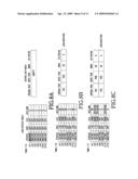 Apparatus and method for controlling voltage and frequency in network on chip diagram and image