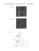 Electomagnetic field generating element, information recording/reproducing head and information recording/reproducing apparatus diagram and image