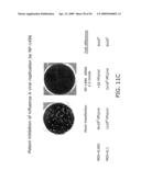 Influenza Therapeutic diagram and image