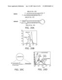 Influenza Therapeutic diagram and image