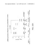 Influenza Therapeutic diagram and image