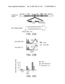 Influenza Therapeutic diagram and image