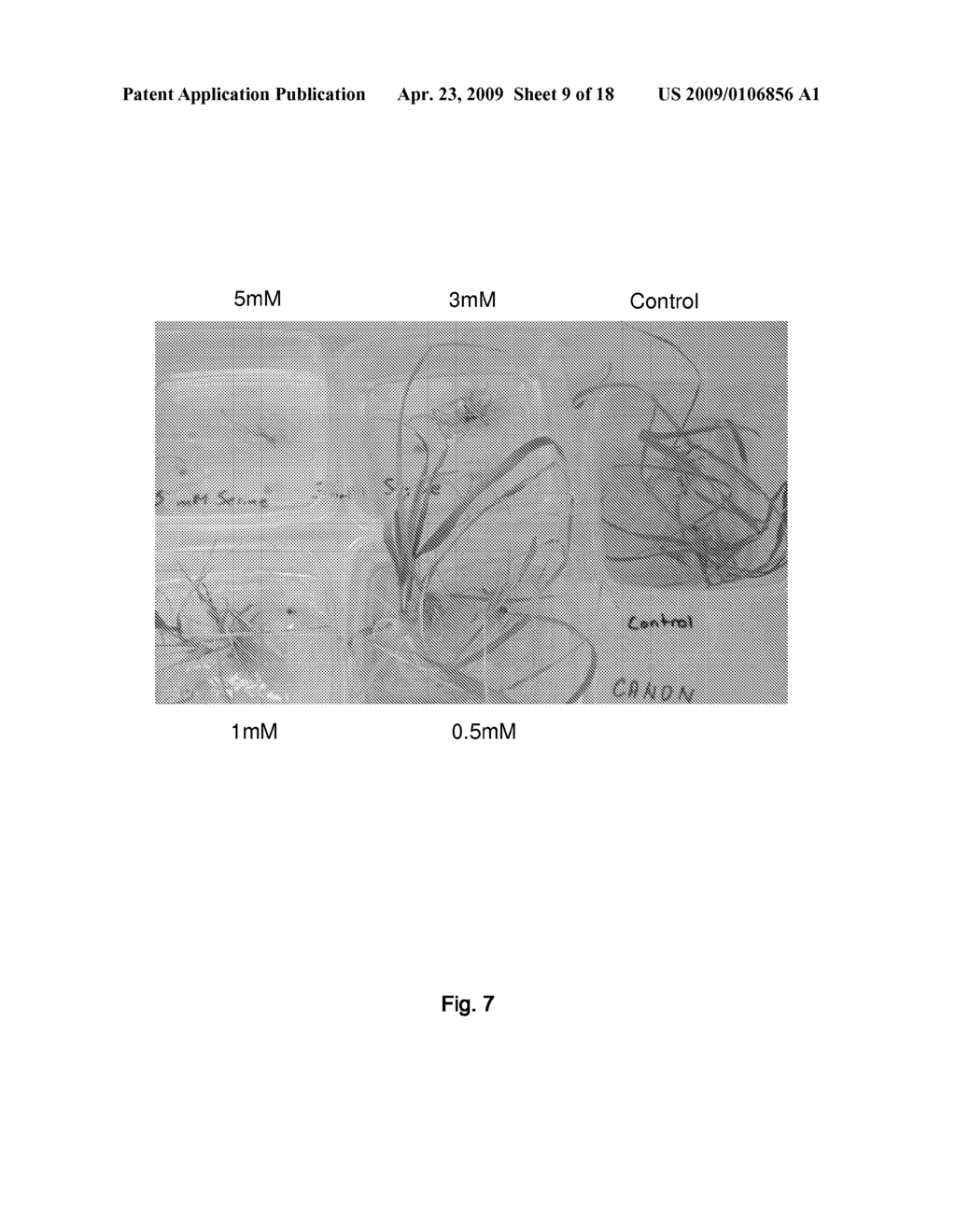 Selection System for Wheat - diagram, schematic, and image 10