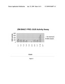 Maize Stress-Responsive NAC Transcription Factors and Promoter and Methods of Use diagram and image