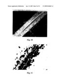 Systemic non-nodular endosymbiotic nitrogen fixation in plants diagram and image